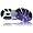 Asics Lady GEL Nimbus 10 Running Shoes