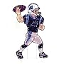 Carolina Panthers Outdoor Yard Christmas Decoration