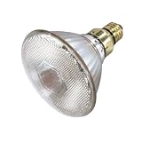 70W/100W Metal Halide - Bulb Type