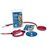 PetSafe Gentle Leader Deluxe Headcollar, Large, Rolling Bones