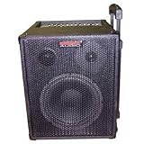 2-Channel 40-Watt Portable Sound System