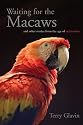 Waiting For The Macaws