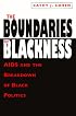 The Boundaries of Blackness: AIDS and the Breakdown of Black Politics