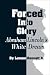 Forced into Glory: Abraham Lincoln's White Dream