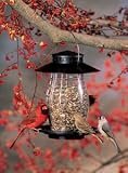 Artline Lantern Feeder