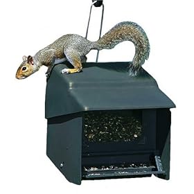 Homestead 3201S Super Stop A Squirrel Wild Bird Feeder