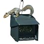 Homestead 3201S Super Stop A Squirrel Wild Bird Feeder