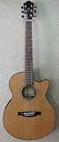 IBANEZ AEG60SE/NT エレアコ