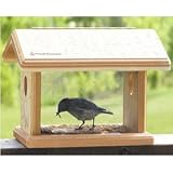 Bird ins Choice Natural Cedar Wood Bluebird Feeder