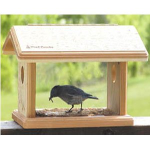 Bird ins Choice Natural Bluebird Feeder