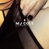 Review M.J. Cole  / Wondering Why