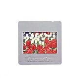 Hama - Hamafix - Cadre diapositive 5 x 5 - 2,3 mm - Format paysage (Import Allemagne)
