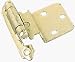 Self Closing Hinge 3/8