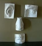 Plaster Castings- Eye Ear Nose and Lips Set