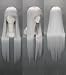 Final Fantasy Sephiroth Long Silver Cosplay Wig