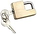 Reese Towpower 7005300 Brass Coupler Lock