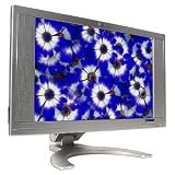 21-Inch HP Debranded Widescreen Monitor with DVI Speakers (Silver)