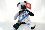 Oakland Raiders vs Washington Redskins RARE Offical NFL Super Bowl XIVIII (18) Collectable Plush Bear