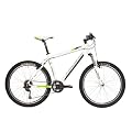 Corratec Herren Mountainbike Hardtail  X-Vert Motion