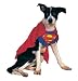 Search : Rubie's Superman Dog Costume - Medium