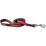 NFL Arizona Cardinals 6' Cardinal Pet Leash