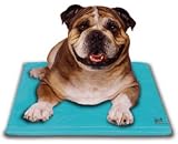 Pet Supplies : Canine Cooler Bed, Choose a size: MEDIUM