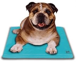 Canine Cooler Bed, Choose a size: MEDIUM