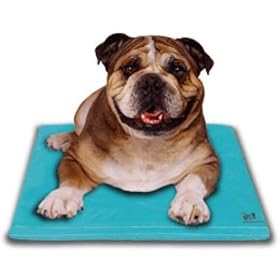Canine Cooler Pet Bed Medium