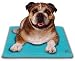 Canine Cooler Pet Bed Medium