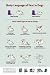Body Language of Fear and Anxiety in Dogs (Handouts)