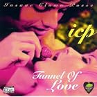Click here to buy Tunnel of Love by  Insane Clown Posse .