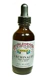 3 Echinacea