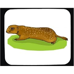Mauspad mit der Grafik: Tier, Nagetier, Frettchen, Eichh�rnchen