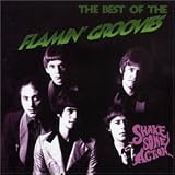 Shake Some Action: Best of the Flamin' Groovies