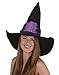 Witch Hat Black with Purple Band