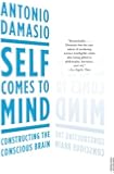 Self Comes to Mind: Constructing the Conscious Brain