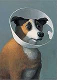 Poster / Kunstdruck Kranker Hund in der Größe (BxH): 42 x 59.4 cm von M. Sowa