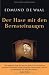 Der Hase mit den Bernsteinauge