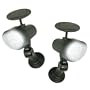 Wall/ Railing Mount Solar Light
