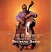 The Bassist: Homage to Diversity