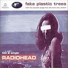 Click here to buy Fake Plastic Trees by  Radiohead .