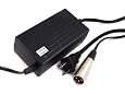 Scooter Battery Charger 48W 24V 2A XLR for GT ASTEROID,GT GT200,GT GT250,GT GT300,GT GT350,GT GT500