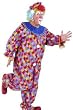 Carnival Clown Costume (wig and shoes not included)