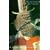 A Booke of Days: A Journal of the Crusade