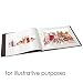 digital scrapbooking tools   Picaboo Software