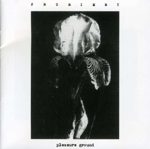 CD-Charts  Music : Pleasure Ground