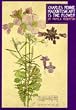 Charles Rennie Mackintosh: Art is the Flower