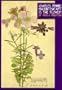 Charles Rennie MacKintosh: Art is the Flower