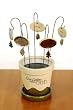 Seeds of Faith: Love Letters from God Plant Pic Display (Plant Pics Not Inclu...