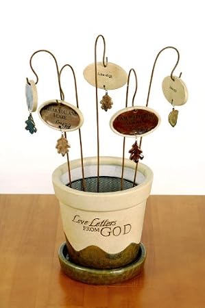 Seeds of Faith: Love Letters from God Plant Pic Display (Plant Pics Not Inclu...